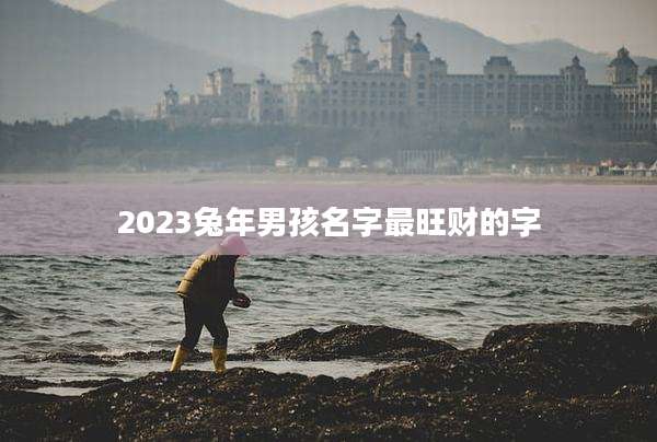 2023兔年男孩名字最旺财的字