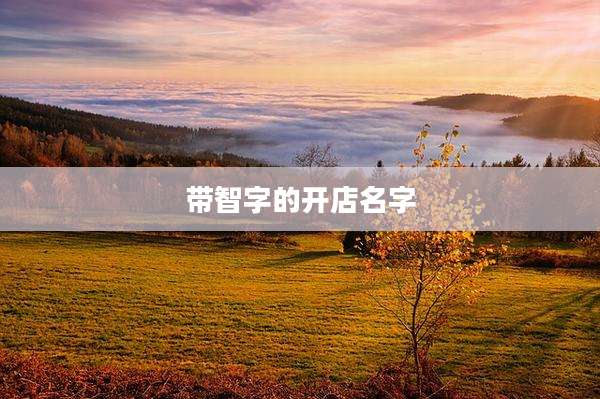 带智字的开店名字