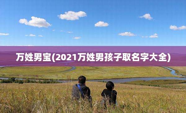 万姓男宝(2021万姓男孩子取名字大全)