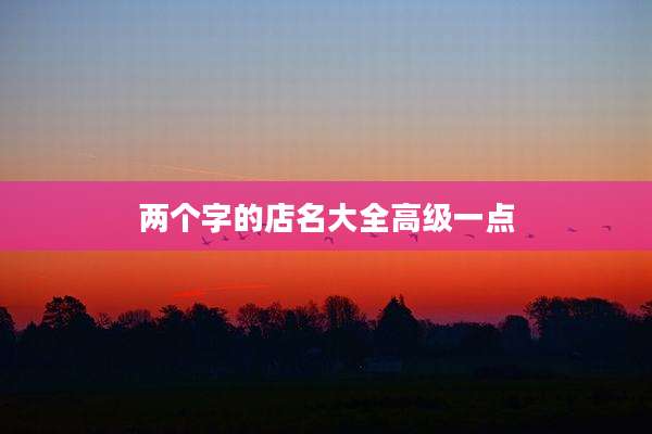 两个字的店名大全高级一点