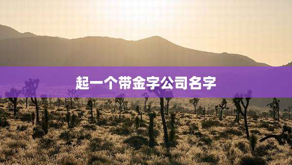 起一个带金字公司名字