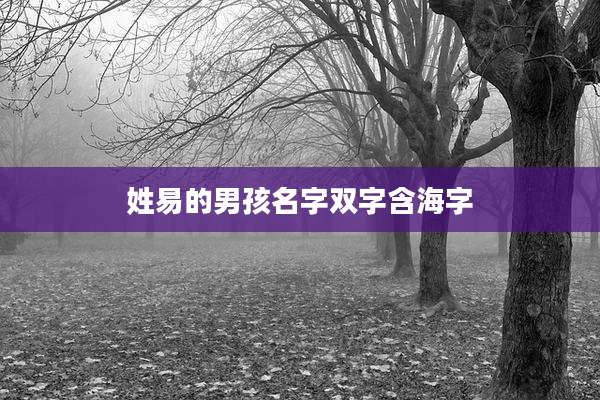 姓易的男孩名字双字含海字
