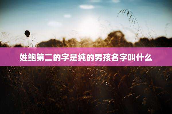 姓鲍第二的字是纯的男孩名字叫什么