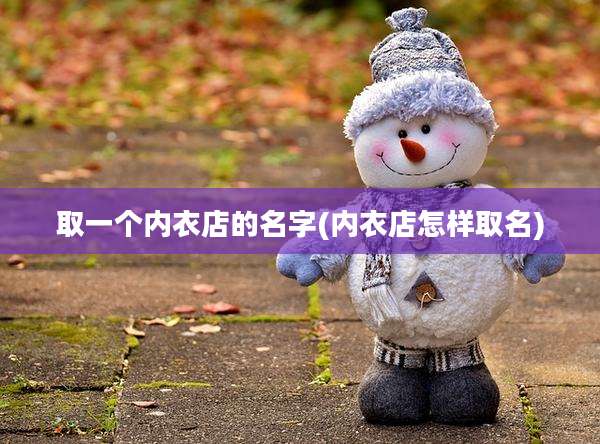 取一个内衣店的名字(内衣店怎样取名)