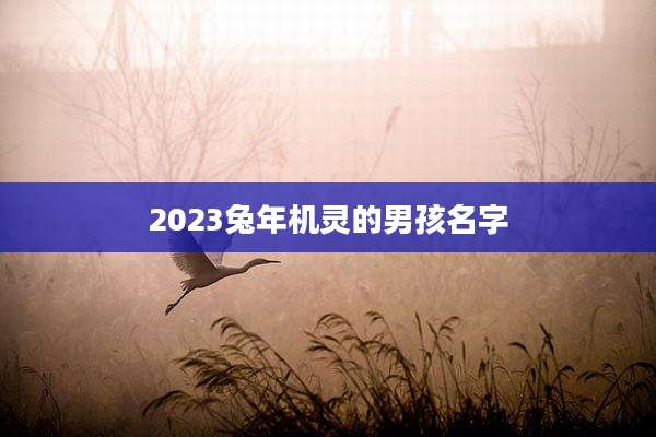 2023兔年机灵的男孩名字
