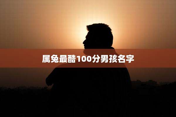 属兔最酷100分男孩名字