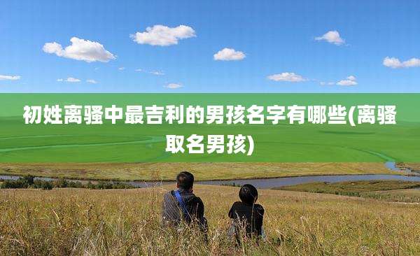 初姓离骚中最吉利的男孩名字有哪些(离骚取名男孩)