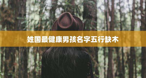 姓国最健康男孩名字五行缺木