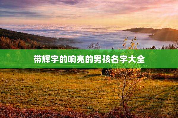 带辉字的响亮的男孩名字大全