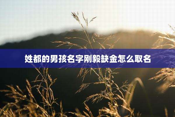 姓都的男孩名字刚毅缺金怎么取名