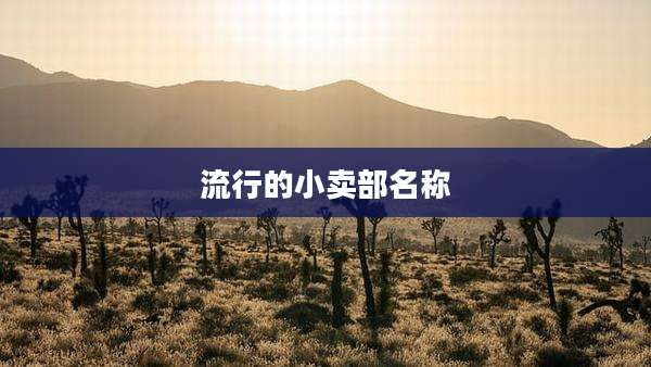 流行的小卖部名称