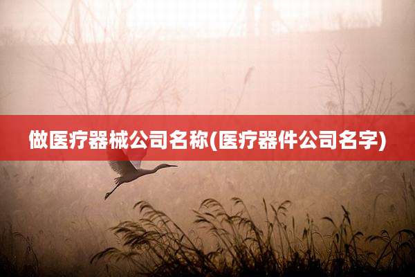做医疗器械公司名称(医疗器件公司名字)