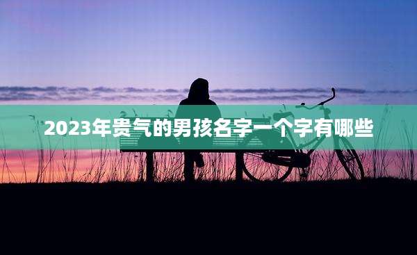 2023年贵气的男孩名字一个字有哪些