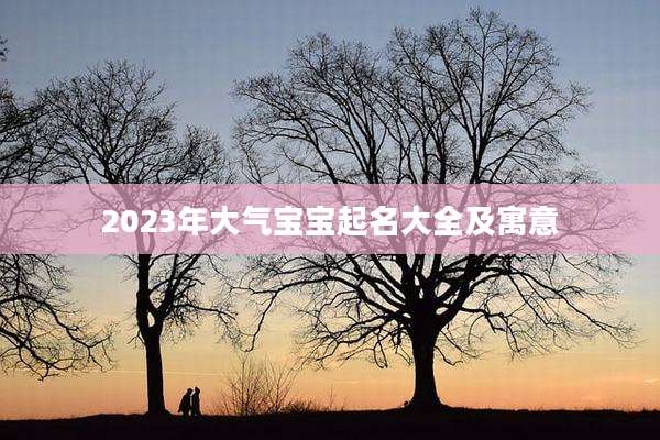 2023年大气宝宝起名大全及寓意