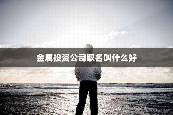 金属投资公司取名叫什么好