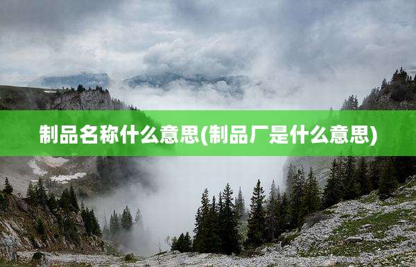 制品名称什么意思(制品厂是什么意思)