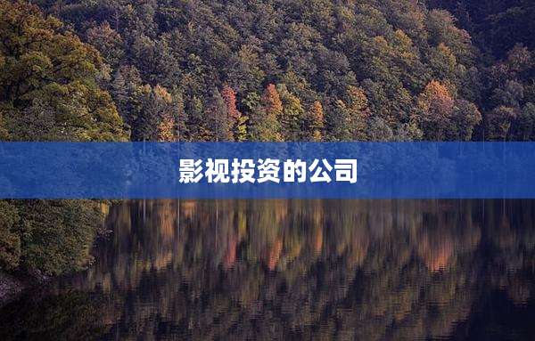 影视投资的公司