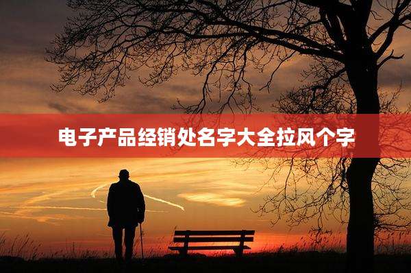 电子产品经销处名字大全拉风个字