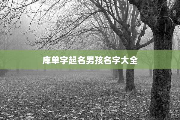 库单字起名男孩名字大全
