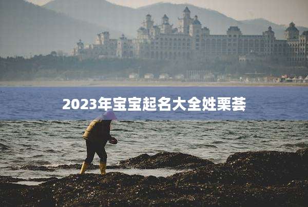 2023年宝宝起名大全姓栗荟