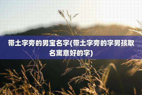 带土字旁的男宝名字(带土字旁的字男孩取名寓意好的字)