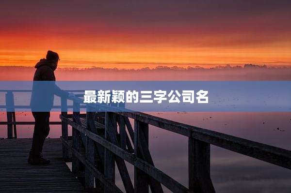 最新颖的三字公司名