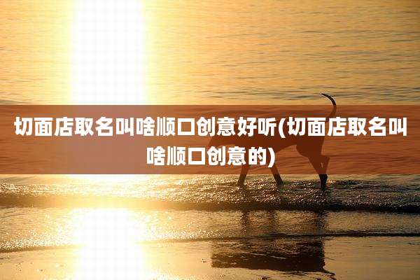 切面店取名叫啥顺口创意好听(切面店取名叫啥顺口创意的)