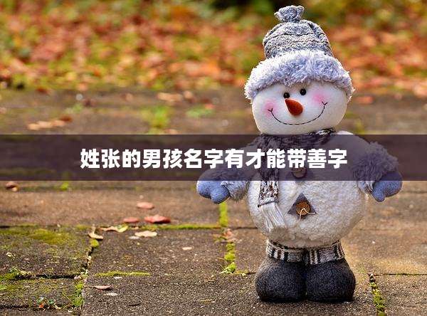 姓张的男孩名字有才能带善字