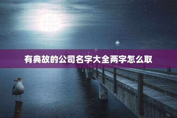 有典故的公司名字大全两字怎么取