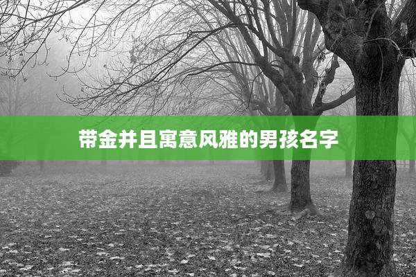 带金并且寓意风雅的男孩名字