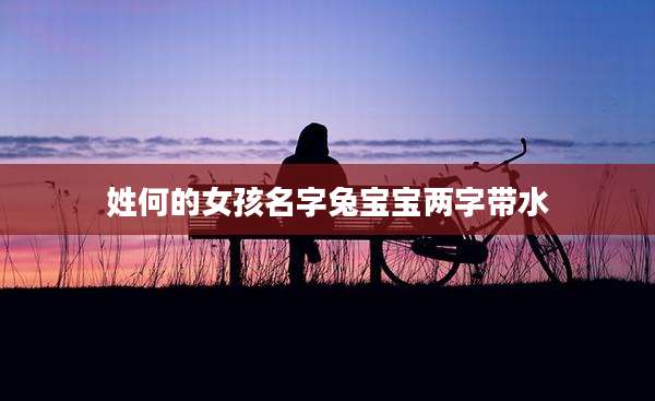 姓何的女孩名字兔宝宝两字带水