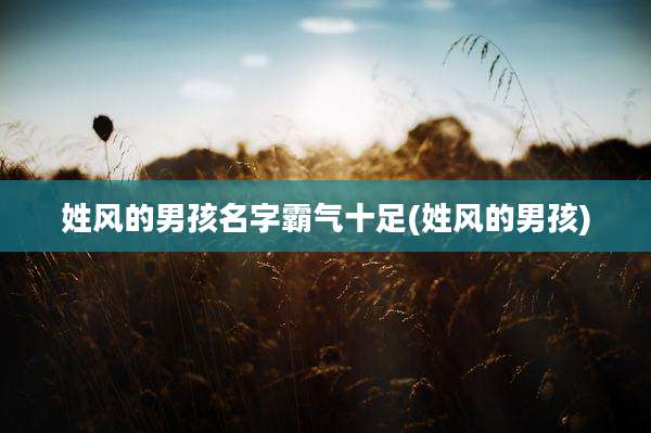 姓风的男孩名字霸气十足(姓风的男孩)