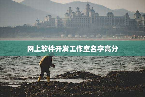 网上软件开发工作室名字高分