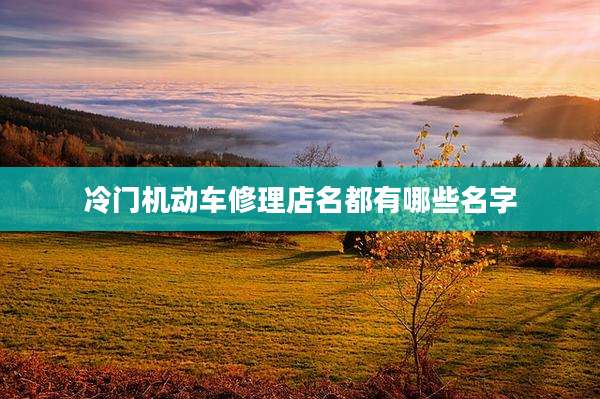 冷门机动车修理店名都有哪些名字