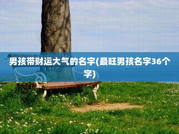男孩带财运大气的名字(最旺男孩名字36个字)