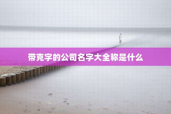 带克字的公司名字大全称是什么