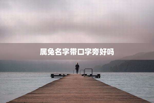 属兔名字带口字旁好吗