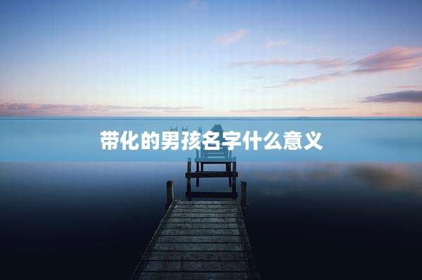 带化的男孩名字什么意义