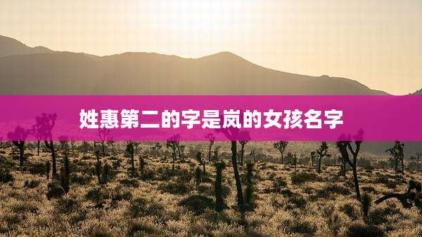 姓惠第二的字是岚的女孩名字