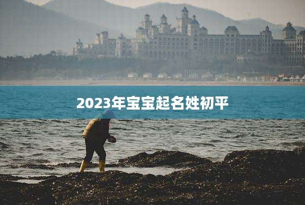 2023年宝宝起名姓初平