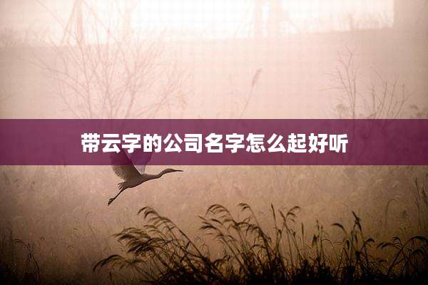 带云字的公司名字怎么起好听