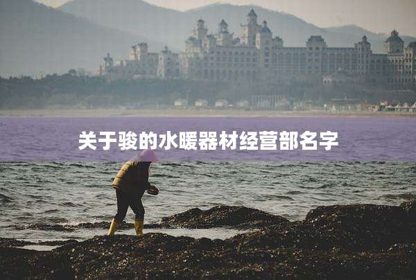 关于骏的水暖器材经营部名字