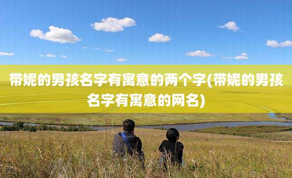 带妮的男孩名字有寓意的两个字(带妮的男孩名字有寓意的网名)