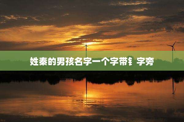 姓秦的男孩名字一个字带钅字旁