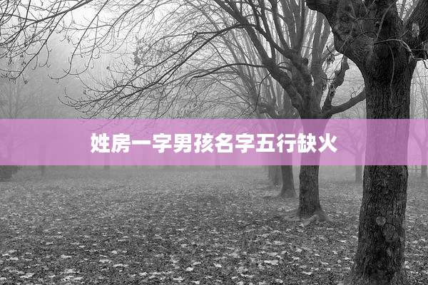 姓房一字男孩名字五行缺火