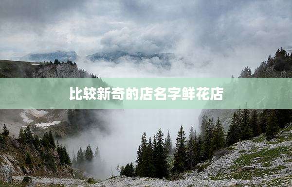 比较新奇的店名字鲜花店