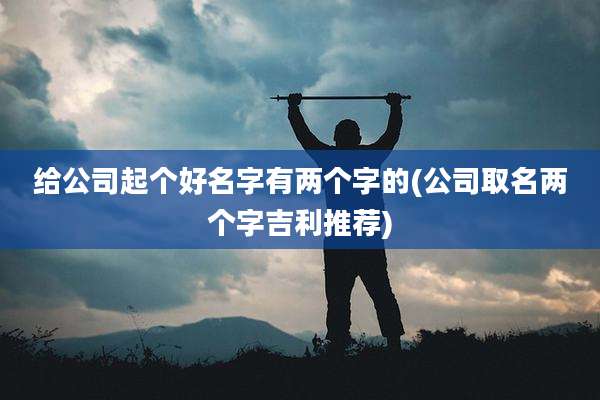 给公司起个好名字有两个字的(公司取名两个字吉利推荐)