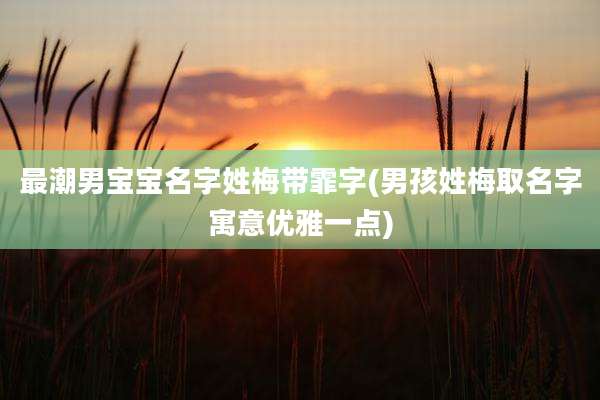 最潮男宝宝名字姓梅带霏字(男孩姓梅取名字寓意优雅一点)