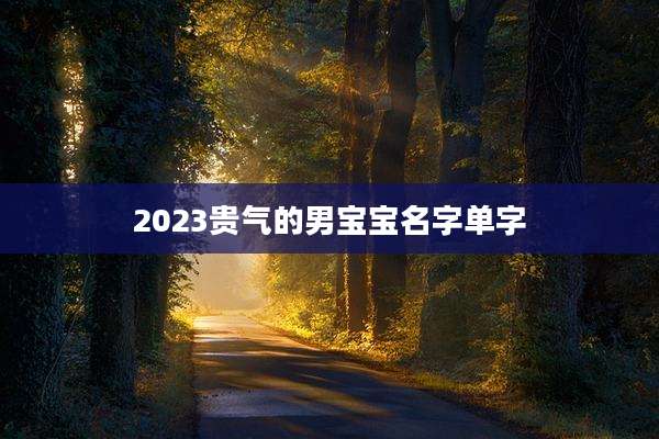2023贵气的男宝宝名字单字