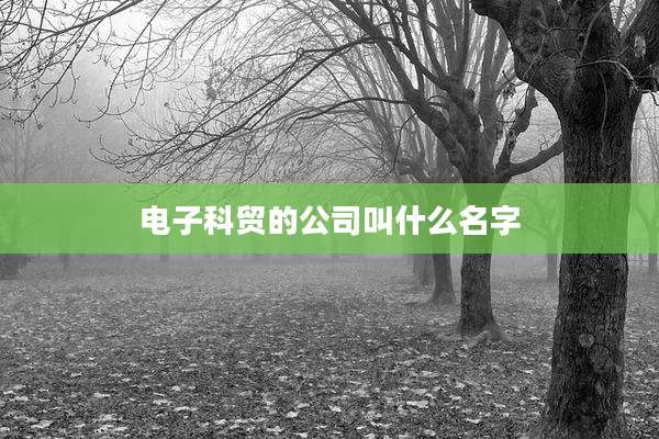 电子科贸的公司叫什么名字